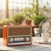 Caixa de Som Bluetooth Retrô XDG-71 Xtrad - Madeira Verniz Caixa de Som Bluetooth Retrô XDG-71 Xtrad - Madeira Verniz